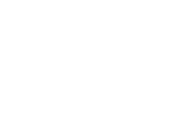 Aurelius Group